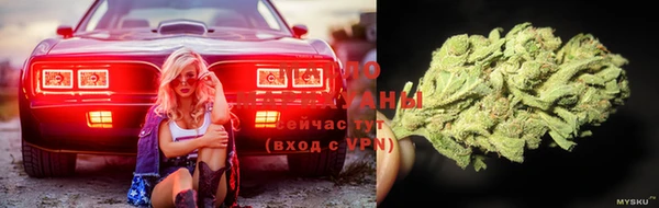 стаф Протвино