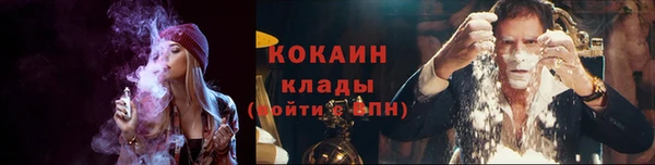 стаф Протвино