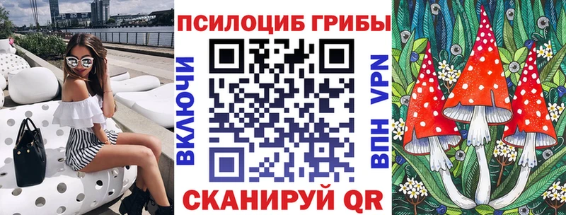 Купить закладки  Циолковский  Псилоцибиновые грибы MAGIC MUSHROOMS 