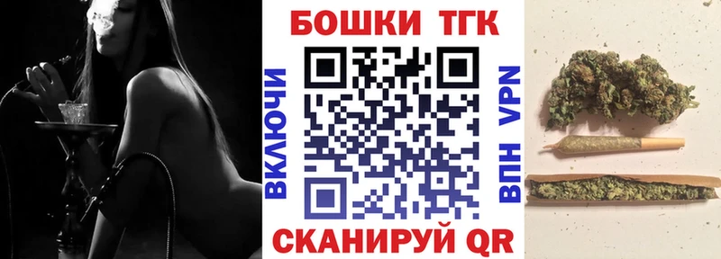 Купить  Циолковский  Бошки Шишки ГИДРОПОН 